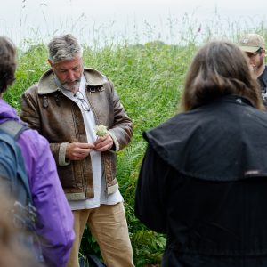 WILTSHIRE (Downton) July 19th Foraging, wild food, wild medicine and wild stories!