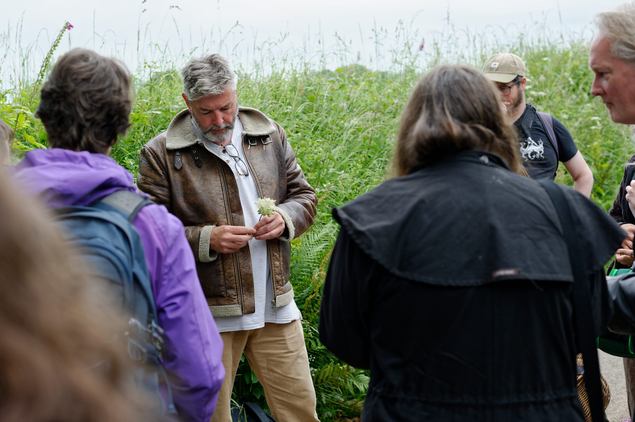 WILTSHIRE (Downton) July 19th Foraging, wild food, wild medicine and wild stories!