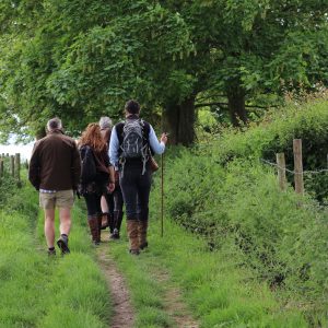 HAMPSHIRE (Cheriton) – May 24th: Foraging, Wild Food, Wild Medicine and Wild Stories