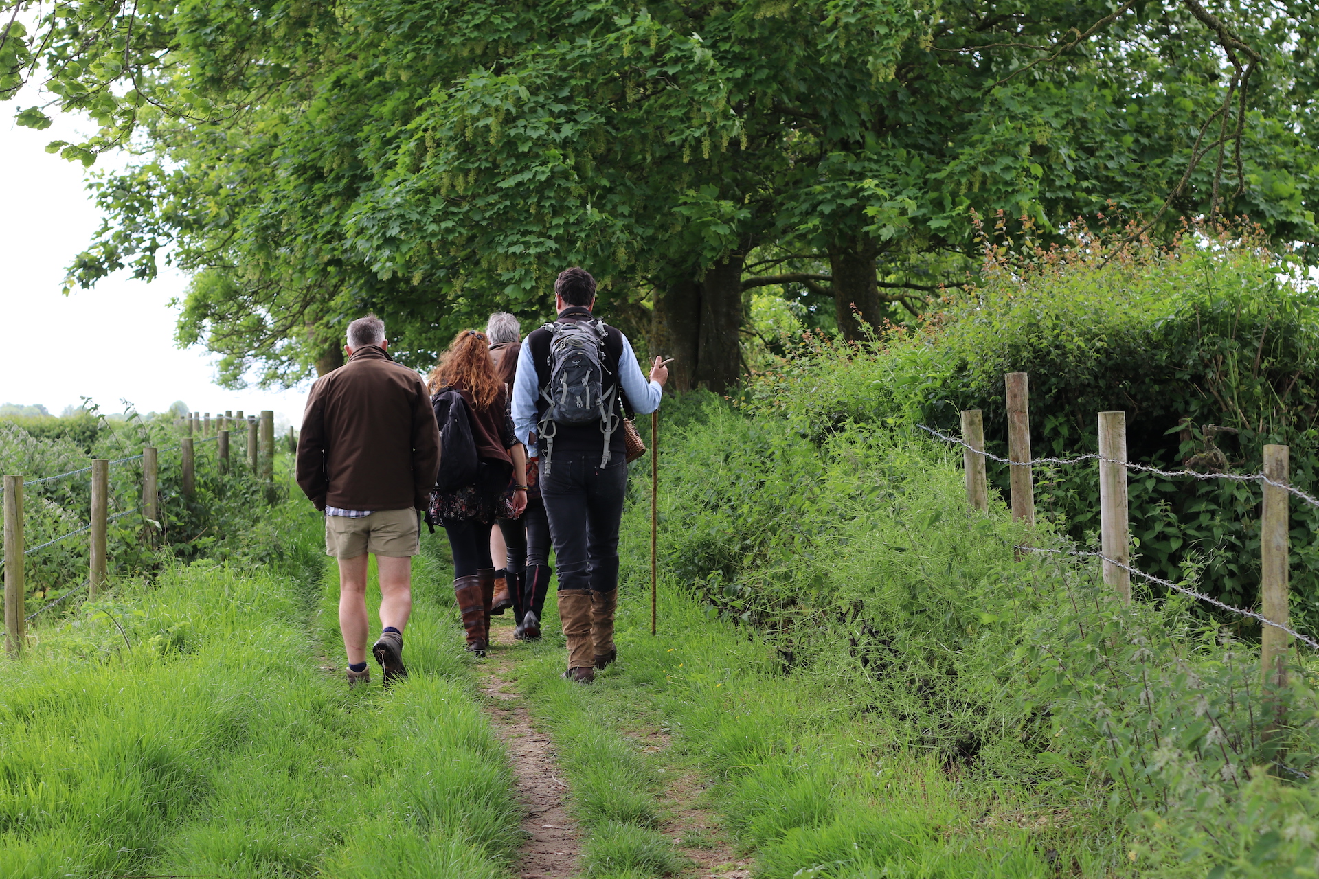 HAMPSHIRE (Cheriton) – May 24th: Foraging, Wild Food, Wild Medicine and Wild Stories