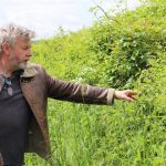 DORSET (Worth Mertravers) - June 14th Foraging wild food, wild medicine and wild stories.