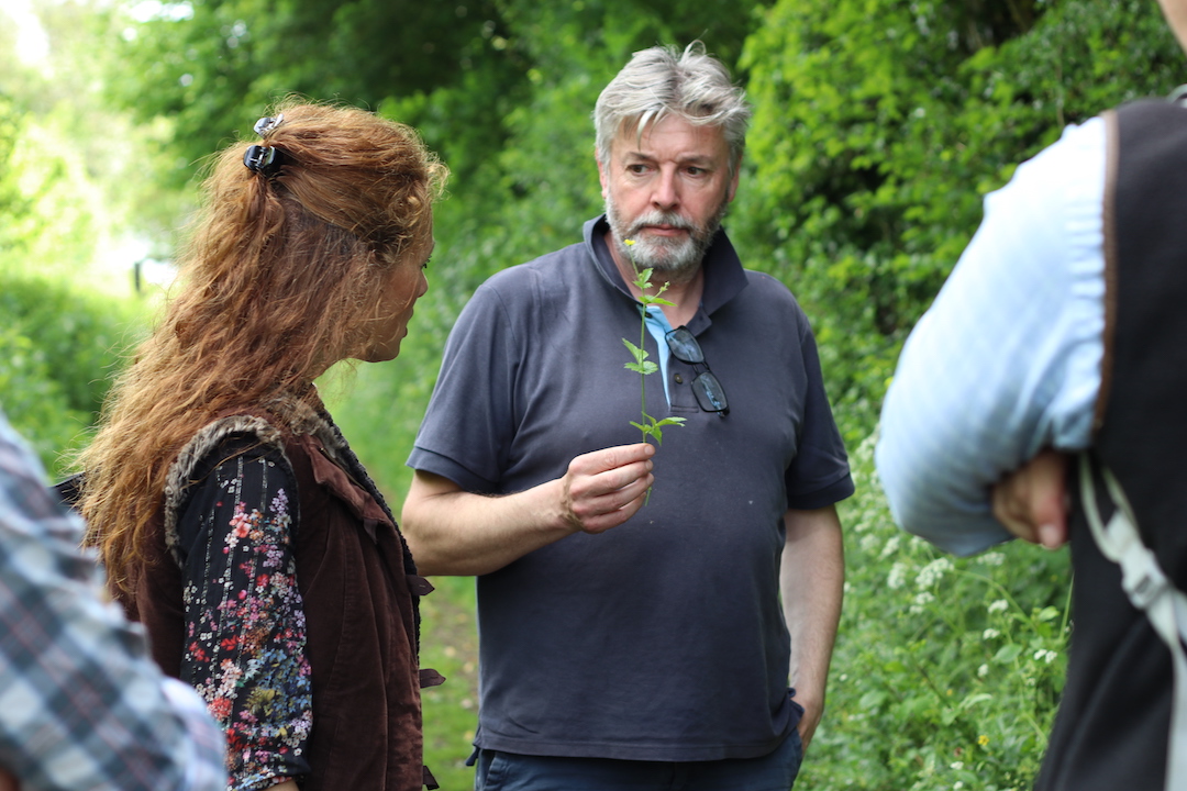 HAMPSHIRE (Cheriton) – May 25th: Foraging, Wild Food, Wild Medicine and Wild Stories