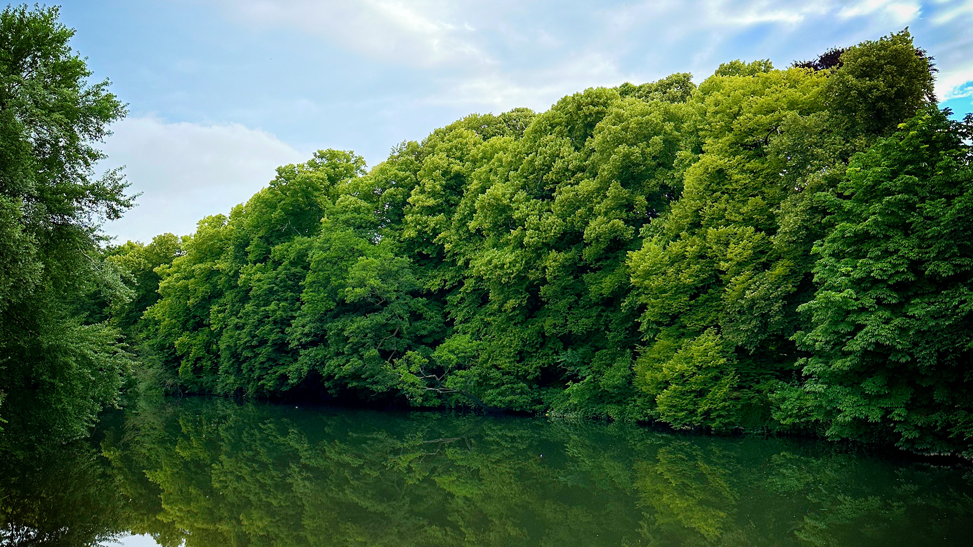 WALES (Bute Park) - July 12th Foraging wild food, wild medicine and wild stories.