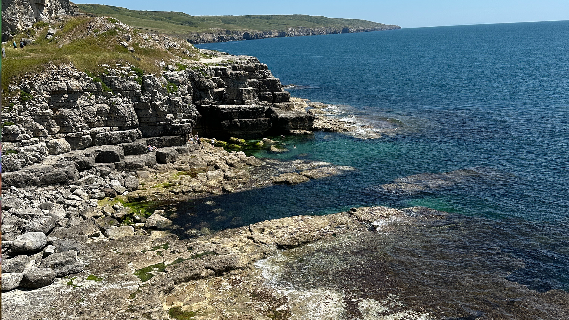DORSET (Worth Mertravers) - June 15th Foraging wild food, wild medicine and wild stories.