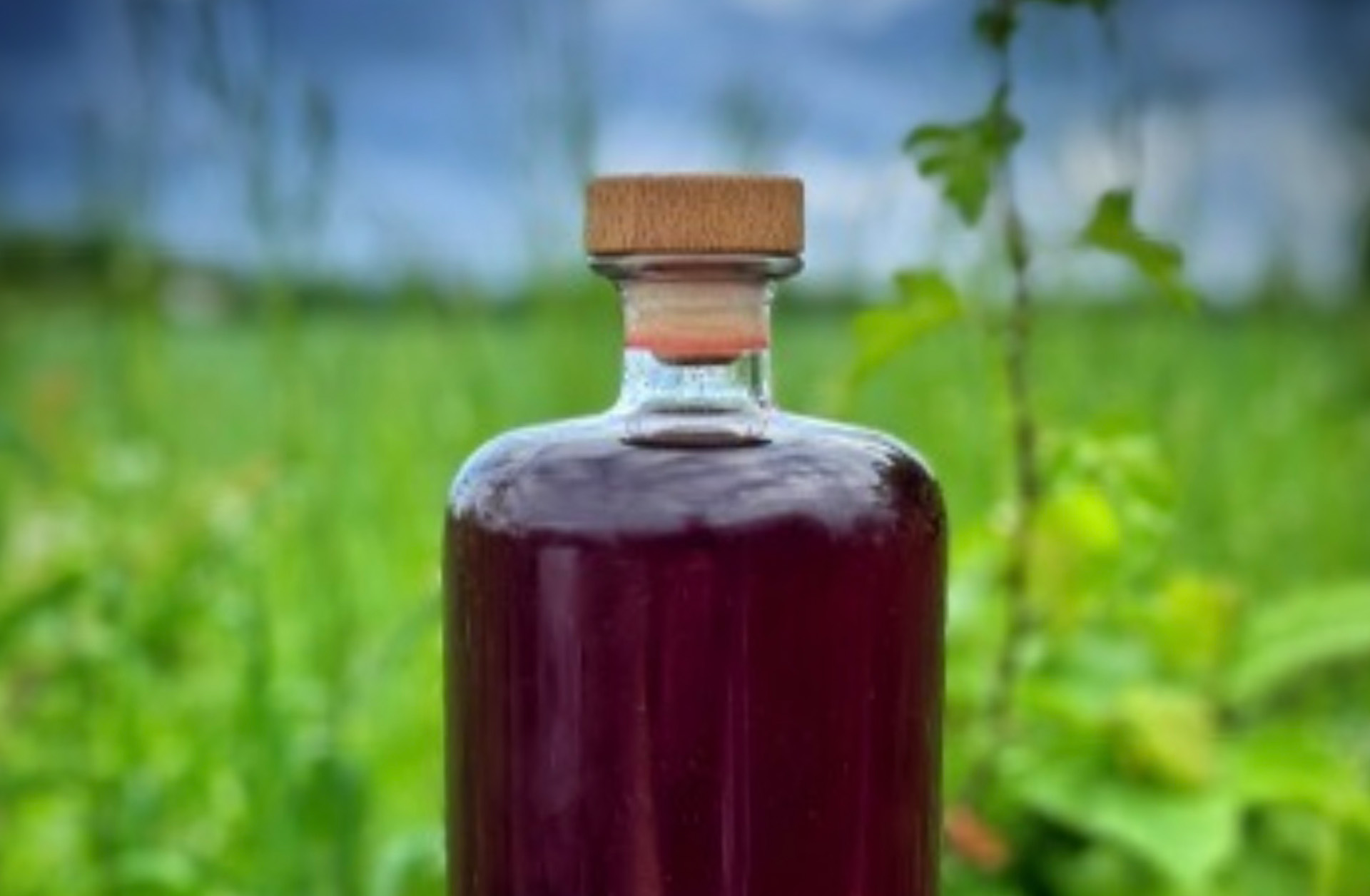 sloe gin